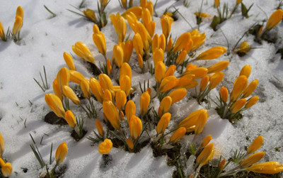 LENTEN REFLECTIONS FROM NATIONAL CATHOLIC REPORTER