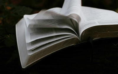THE DISTURBING AND LIFE-GIVING POWER OF SCRIPTURE