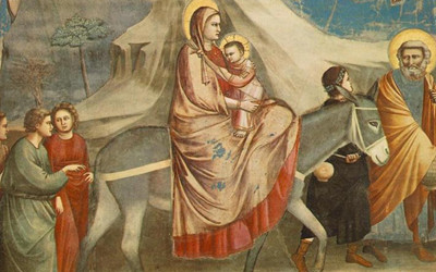 COMING HOME - OUR CONTRIBUTION A HEAVEN IN THE MAKING