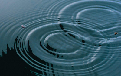 BEING CATHOLIC MEANS PUTTING UNIVERSAL COMMUNITY FIRST